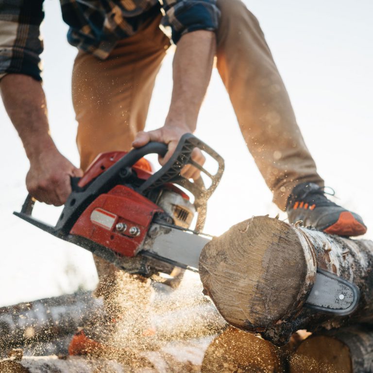 Kaufratgeber für die beste Kettensäge AgriEuro Blog